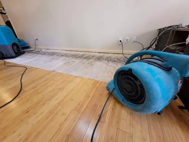 Professional Water Damage Repair technician working in Albion, PA